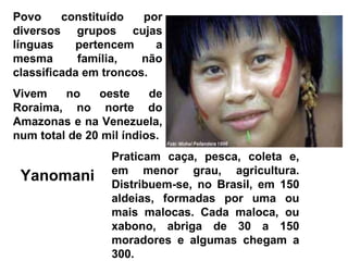 Povo     constituído   por
diversos grupos cujas
línguas    pertencem     a
mesma       família,   não
classificada em troncos.
Vivem    no    oeste     de
Roraima, no norte do
Amazonas e na Venezuela,
num total de 20 mil índios.
                 Praticam caça, pesca, coleta e,
                 em menor grau, agricultura.
 Yanomani        Distribuem-se, no Brasil, em 150
                 aldeias, formadas por uma ou
                 mais malocas. Cada maloca, ou
                 xabono, abriga de 30 a 150
                 moradores e algumas chegam a
                 300.
 