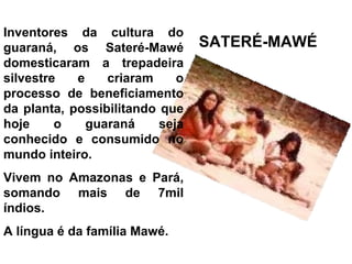 Inventores da cultura do
guaraná, os Sateré-Mawé          SATERÉ-MAWÉ
domesticaram a trepadeira
silvestre   e    criaram     o
processo de beneficiamento
da planta, possibilitando que
hoje     o    guaraná     seja
conhecido e consumido no
mundo inteiro.
Vivem no Amazonas e Pará,
somando mais de 7mil
índios.
A língua é da família Mawé.
 