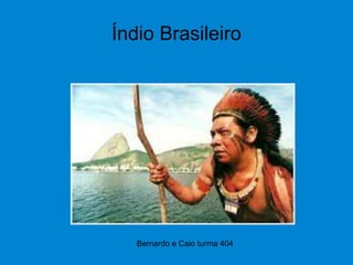 Bernardo e Caio turma 404
Índio Brasileiro
 