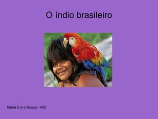 O índio brasileiro
Maria Clara Souza - 403
 