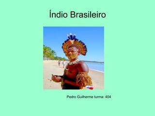 Pedro Guilherme turma: 404
Índio Brasileiro
 