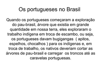 Os portugueses no Brasil
Quando os portugueses começaram a exploração
do pau-brasil, árvore que existia em grande
quantidade em nossa terra, eles exploraram o
trabalho indígena em troca de escambo, ou seja,
os portugueses davam bugigangas ( apitos,
espelhos, chocalhos ) para os indígenas e, em
troca de trabalho, os nativos deveriam cortar as
árvores de pau-brasil e carregar os troncos até as
caravelas portuguesas.
 