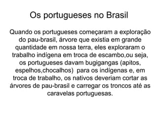 Os portugueses no Brasil
Quando os portugueses começaram a exploração
do pau-brasil, árvore que existia em grande
quantidade em nossa terra, eles exploraram o
trabalho indígena em troca de escambo,ou seja,
os portugueses davam bugigangas (apitos,
espelhos,chocalhos) para os indígenas e, em
troca de trabalho, os nativos deveriam cortar as
árvores de pau-brasil e carregar os troncos até as
caravelas portuguesas.
 
