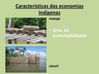 Características das economias
          indígenas
              matapi


              • Grau de
                sustentabilidade




              cacuri
 