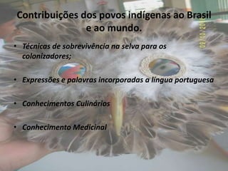 Contribuições dos povos indígenas ao Brasil
               e ao mundo.
• Técnicas de sobrevivência na selva para os
  colonizadores;

• Expressões e palavras incorporadas a língua portuguesa

• Conhecimentos Culinários

• Conhecimento Medicinal
 