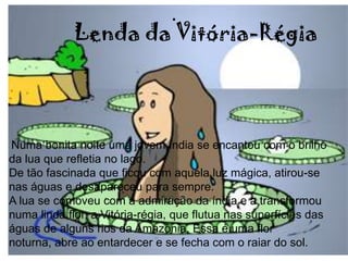 .
Lenda da Vitória-Régia
Numa bonita noite uma jovem índia se encantou com o brilho
da lua que refletia no lago.
De tão fascinada que ficou com aquela luz mágica, atirou-se
nas águas e desapareceu para sempre.
A lua se comoveu com a admiração da índia e a transformou
numa linda flor, a Vitória-régia, que flutua nas superfícies das
águas de alguns rios da Amazônia. Essa é uma flor
noturna, abre ao entardecer e se fecha com o raiar do sol.
 