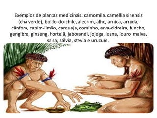 Exemplos de plantas medicinais: camomila, camellia sinensis
(chá verde), boldo-do-chile, alecrim, alho, arnica, arruda,
cânfora, capim-limão, carqueja, cominho, erva-cidreira, funcho,
gengibre, ginseng, hortelã, jaborandi, jojoga, losna, louro, malva,
salsa, sálvia, stevia e urucum.
 