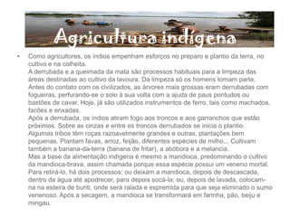 Agricultura indígena
• Como agricultores, os índios empenham esforços no preparo e plantio da terra, no
cultivo e na colheita.
A derrubada e a queimada da mata são processos habituais para a limpeza das
áreas destinadas ao cultivo da lavoura. Da limpeza só os homens tomam parte.
Antes do contato com os civilizados, as árvores mais grossas eram derrubadas com
fogueiras, perfurando-se o solo à sua volta com a ajuda de paus pontudos ou
bastões de cavar. Hoje, já são utilizados instrumentos de ferro, tais como machados,
facões e enxadas.
Após a derrubada, os índios atiram fogo aos troncos e aos garranchos que estão
próximos. Sobre as cinzas e entre os troncos derrubados se inicia o plantio.
Algumas tribos têm roças razoavelmente grandes e outras, plantações bem
pequenas. Plantam favas, arroz, feijão, diferentes espécies de milho... Cultivam
também a banana-da-terra (banana de fritar), a abóbora e a melancia.
Mas a base da alimentação indígena é mesmo a mandioca, predominando o cultivo
da mandioca-brava, assim chamada porque essa espécie possui um veneno mortal.
Para retirá-lo, há dois processos: ou deixam a mandioca, depois de descascada,
dentro da água até apodrecer, para depois socá-la; ou, depois de lavada, colocam-
na na esteira de buriti, onde será ralada e espremida para que seja eliminado o sumo
venenoso. Após a secagem, a mandioca se transformará em farinha, pão, beiju e
mingau.
 