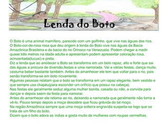 Lenda do Boto
O Boto é uma animal mamífero, parecido com um golfinho, que vive nas águas dos rios.
O Boto-cor-de-rosa rosa que deu origem à lenda do Boto vive nas águas da Bacia
Amazônica Brasileira e do bacia do rio Orinoco na Venezuela. Podem chegar a medir
quase três metros na idade adulta e apresentam podem apresentar coloração rosa,
acinzentada(tucuxi) e preta.
Diz a lenda que ao anoitecer o Boto se transforma em um belo rapaz, alto e forte que sai
das águas a procura de diversão,festas e uma namorada. Vai a várias festas, dança muito,
costuma beber bastante também. Antes do amanhecer ele tem que voltar para o rio, pois
senão transforma-se em boto novamente.
Algumas pessoas relatam que o boto se transforma em um rapaz elegante, bem vestido e
que sempre usa chapéu(para esconder um orifício que possui na cabeça).
Nas festas ele geralmente seduz alguma mulher bonita, casada ou não, a convida para
dançar e depois saem da festa para namorar.
Antes do amanhecer ele retorna ao rio, deixando a namorada que geralmente não torna a
vê-lo. Pouco tempo depois a moça descobre que ficou grávida do tal moço.
Na região Amazônica sempre que uma moça solteira engravida suspeita-se logo que se
trata de um filho do boto.
Dizem que o boto adora as índias e gosta muito de mulheres com roupas vermelhas.
 