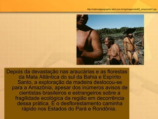 Depois da devastação nas araucárias e as florestas da Mata Atlântica do sul da Bahia e Espírito Santo, a exploração da madeira deslocou-se para a Amazônia, apesar dos inúmeros avisos de cientistas brasileiros e estrangeiros sobre a fragilidade ecológica da região em decorrência dessa prática. E o desflorestamento caminha rápido nos Estados do Pará e Rondônia.  http://nationalgeographic.abril.com.br/ng/imagem/ed82_amazonia01.jpg 
