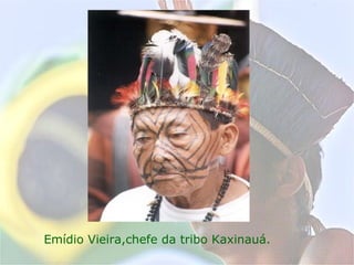 Emídio Vieira,chefe da tribo Kaxinauá.
 