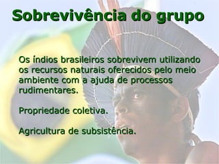 Os índios brasileiros sobrevivem utilizandoOs índios brasileiros sobrevivem utilizando
os recursos naturais oferecidos pelo meioos recursos naturais oferecidos pelo meio
ambiente com a ajuda de processosambiente com a ajuda de processos
rudimentares.rudimentares.
Propriedade coletiva.Propriedade coletiva.
Agricultura de subsistência.Agricultura de subsistência.
SobrevivênciaSobrevivência do grupodo grupo
 