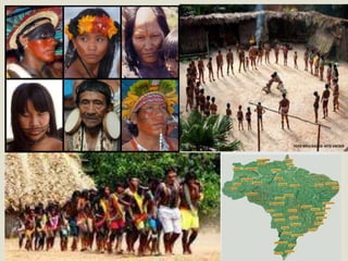 íNdios brasileiros curso