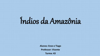 Índios da Amazônia
Alunos: Enzo e Tiago
Professor: Vicente
Turma: 43
 