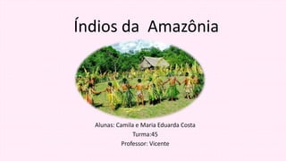 Índios da Amazônia
Alunas: Camila e Maria Eduarda Costa
Turma:45
Professor: Vicente
 