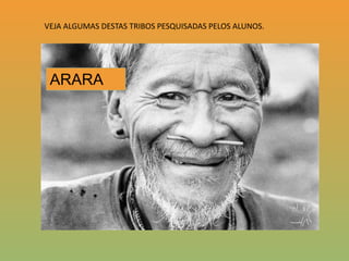 VEJA ALGUMAS DESTAS TRIBOS PESQUISADAS PELOS ALUNOS.ARARA