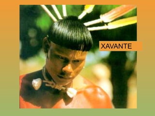 XAVANTE