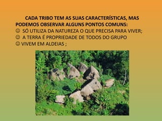         CADA TRIBO TEM AS SUAS CARACTERÍSTICAS, MAS PODEMOS OBSERVAR ALGUNS PONTOS COMUNS:  SÓ UTILIZA DA NATUREZA O QUE PRECISA PARA VIVER;