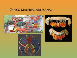 Receitas culinárias e medicinais;