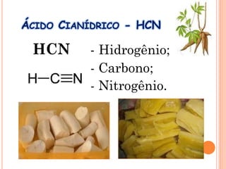 ÁCIDO CIANÍDRICO - HCN
HCN - Hidrogênio;
- Carbono;
- Nitrogênio.
 