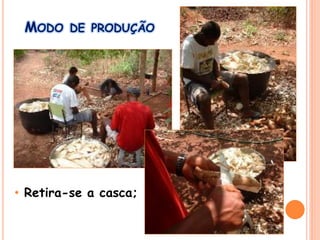 MODO DE PRODUÇÃO
• Retira-se a casca;
 