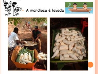 • A mandioca é lavada
 