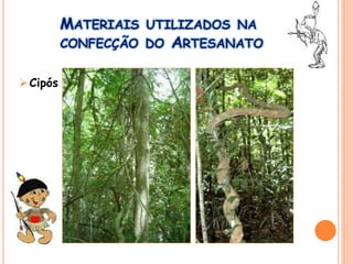 MATERIAIS UTILIZADOS NA
CONFECÇÃO DO ARTESANATO
Cipós
 