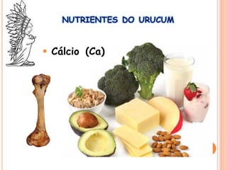 NUTRIENTES DO URUCUM
 Cálcio (Ca)
 