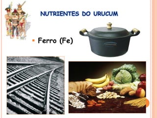 NUTRIENTES DO URUCUM
 Ferro (Fe)
 