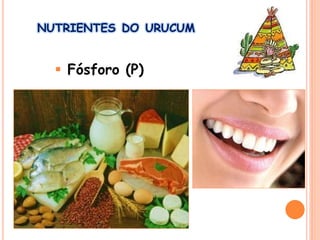  Fósforo (P)
NUTRIENTES DO URUCUM
 