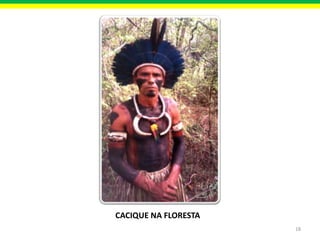 CACIQUE NA FLORESTA
18

 