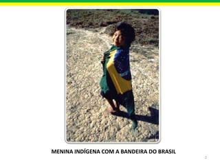 MENINA INDÍGENA COM A BANDEIRA DO BRASIL
2

 