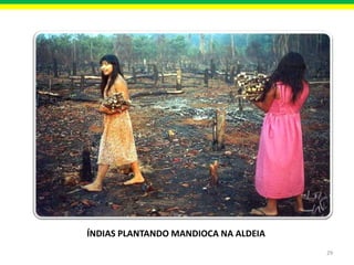 ÍNDIAS PLANTANDO MANDIOCA NA ALDEIA
29

 