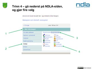Reidar Kyllesdal
Trinn 4 – gå nederst på NDLA-siden,
og gjør fire valg
1
2
3
4
 