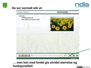 Reidar Kyllesdal
De ser normalt slik ut:
… men kan med fordel gis utvidet størrelse og
funksjonalitet!
 