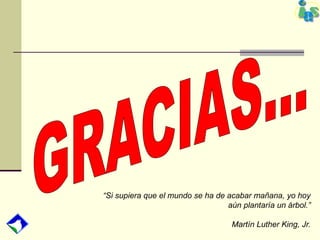 “Si supiera que el mundo se ha de acabar mañana, yo hoy
aún plantaría un árbol.”
Martín Luther King, Jr.
 