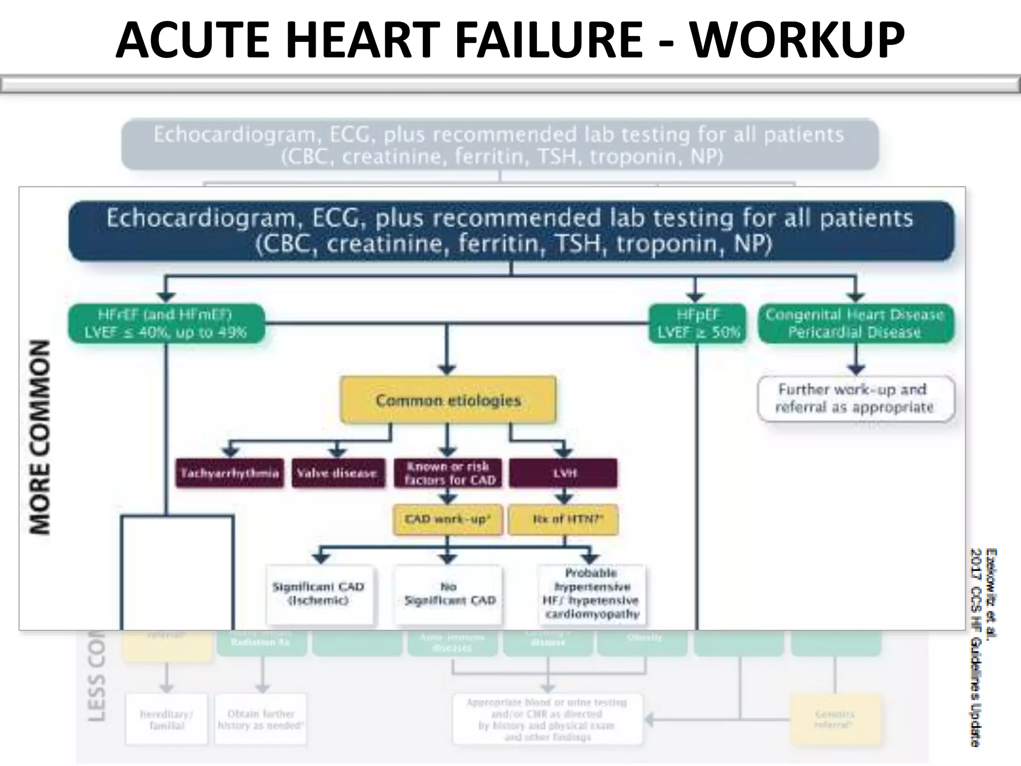 Principles of management of acute heart failure | PPTX