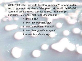 • 2008-2009 yılları arasında İngiltere çapında 25 laboratuardan
  ve İskoçya ve Kuzey İrlanda ‘ dan gelen tek temsilci ile NDM-1
  içeren 37 tane Enterobacteriaceae suşu toplanmıştır.
  Bunların; 21 tanesi Klebsiella pneumoniae
               7 tanesi E coli
               5 tanesi Enterobacter spp
               2 tanesi Citrobacter freundii
               1 tanesi Morganella morganii
               1 tanesi Providencia spp.
 