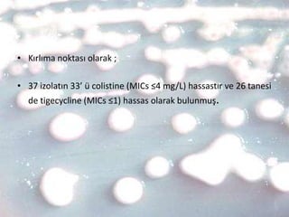 • Kırlıma noktası olarak ;

• 37 izolatın 33’ ü colistine (MICs ≤4 mg/L) hassastır ve 26 tanesi
  de tigecycline (MICs ≤1) hassas olarak bulunmuş.
 
