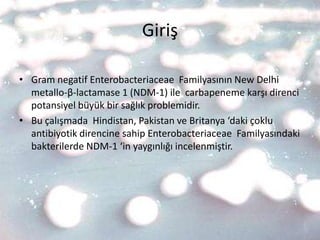 Giriş

• Gram negatif Enterobacteriaceae Familyasının New Delhi
  metallo-β-lactamase 1 (NDM-1) ile carbapeneme karşı direnci
  potansiyel büyük bir sağlık problemidir.
• Bu çalışmada Hindistan, Pakistan ve Britanya ‘daki çoklu
  antibiyotik direncine sahip Enterobacteriaceae Familyasındaki
  bakterilerde NDM-1 ‘in yaygınlığı incelenmiştir.
 