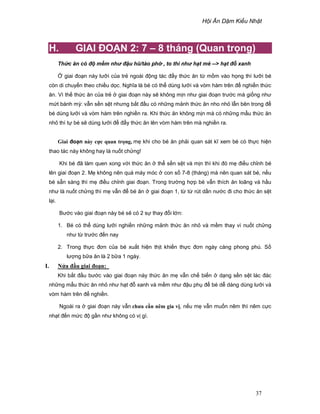 H i Ăn D m Ki u Nh t
37
H. GIAI ðO N 2: 7 – 8 tháng (Quan tr ng)
Th c ăn có ñ m m nh ñ u hũ/tào ph , to thì nh h t mè -- h t ñ xanh
giai ño n này lư i c a tr ngoài ñ ng tác ñ y th c ăn t m m vào h ng thì lư i bé
còn di chuy n theo chi u d c. Nghĩa là bé có th dùng lư i và vòm hàm trên ñ nghi n th c
ăn. Vì th th c ăn c a tr giai ño n này s không m n như giai ño n trư c mà gi ng như
m t bánh mỳ: v n s n s t nhưng b t ñ u có nh ng m nh th c ăn nho nh l n bên trong ñ
bé dùng lư i và vòm hàm trên nghi n ra. Khi th c ăn không m n mà có nh ng m u th c ăn
nh thì t bé s dùng lư i ñ ñ y th c ăn lên vòm hàm trên mà nghi n ra.
Giai ño n này c c quan tr ng, m khi cho bé ăn ph i quan sát kĩ xem bé có th c hi n
thao tác này không hay là nu t ch ng!
Khi bé ñã làm quen xong v i th c ăn th s n s t và m n thì khi ñó m ñi u ch nh bé
lên giai ño n 2. M không nên quá máy móc con s 7-8 (tháng) mà nên quan sát bé, n u
bé s n sàng thì m ñi u ch nh giai ño n. Trong trư ng h p bé v n thích ăn loãng và h u
như là nu t ch ng thì m v n ñ bé ăn giai ño n 1, t t rút d n nư c ñi cho th c ăn s t
l i.
Bư c vào giai ño n này bé s có 2 s thay ñ i l n:
1. Bé có th dùng lư i nghi n nh ng m nh th c ăn nh và m m thay vì nu t ch ng
như t trư c ñ n nay
2. Trong th c ñơn c a bé xu t hi n th t khi n th c ñơn ngày càng phong phú. S
lư ng b a ăn là 2 b a 1 ngày.
I. N a ñ u giai ño n:
Khi b t ñ u bư c vào giai ño n này th c ăn m v n ch bi n d ng s n s t lác ñác
nh ng m u th c ăn nh như h t ñ xanh và m m như ñ u ph ñ bé d dàng dùng lư i và
vòm hàm trên ñ nghi n.
Ngoài ra giai ño n này v n chưa c n nêm gia v , n u m v n mu n nêm thì nêm c c
nh t ñ n m c ñ g n như không có v gì.
 