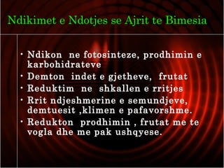 Ndikimet e Ndotjes se Ajrit te Bimesia
• Ndikon ne fotosinteze, prodhimin e
karbohidrateve
• Demton indet e gjetheve, frutat
• Reduktim ne shkallen e rritjes
• Rrit ndjeshmerine e semundjeve,
demtuesit ,klimen e pafavorshme.
• Redukton prodhimin , frutat me te
vogla dhe me pak ushqyese.
 