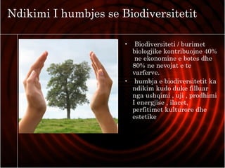 Ndikimi I humbjes se Biodiversitetit
• Biodiversiteti / burimet
biologjike kontribuojne 40%
ne ekonomine e botes dhe
80% ne nevojat e te
varferve.
• humbja e biodiversitetit ka
ndikim kudo duke filluar
nga ushqimi , uji , prodhimi
I energjise , ilacet,
perfitimet kulturore dhe
estetike
 