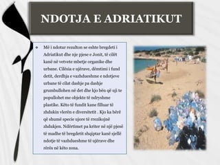 Më i ndotur rezulton se eshte bregdeti i
Adriatikut dhe nje pjese e Jonit, të cilët
kanë në vetvete mbetje organike dhe
urbane. Cilësia e ujërave, dëmtimi i fund
detit, derdhja e vazhdueshme e ndotjeve
urbane të cilat dashje pa dashje
grumbullohen në det dhe kjo bën që uji te
popullohet me objekte të ndryshme
plastike. Këto të fundit kane filluar të
zhdukin vlerën e diversitetit . Kjo ka bërë
që shumë specie ujore të rrezikojnë
zhdukjen. Ndërtimet pa kriter në një pjesë
të madhe të bregdetit shqiptar kanë sjellë
ndotje të vazhdueshme të ujërave dhe
rërës në këto zona.
NDOTJA E ADRIATIKUT
 