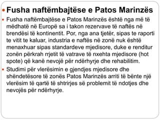  Fusha naftëmbajtëse e Patos Marinzës
 Fusha naftëmbajtëse e Patos Marinzës është nga më të
mëdhatë në Europë sa i takon rezervave të naftës në
brendësi të kontinentit. Por, nga ana tjetër, sipas te raporti
te vitit te kaluar, industria e naftës në zonë nuk është
menaxhuar sipas standardeve mjedisore, duke e renditur
zonën përkrah rrjetit të vatrave të nxehta mjedisore (hot
spote) që kanë nevojë për ndërhyrje dhe rehabilitim.
 Studimi për vlerësimin e gjendjes mjedisore dhe
shëndetësore të zonës Patos Marinzës arriti të bënte një
vlerësim të qartë të shtrirjes së problemit të ndotjes dhe
nevojës për ndërhyrje.
 