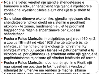  Nga ana tjetër, vërehet një gjendje shëndetësore e
banorëve e ndikuar negativisht nga gjendja mjedisore e
zones dhe kryesisht cilesia e ajrit dhe ujit të pijshëm të
zonës.
 Sa u takon dëmeve ekonomike, gjendja mjedisore dhe
shëndetësore ndikon direkt në sistemin e prodhimit
ekonomik të zonës, rendimentin e ulët të prodhimit
bujqësor dhe rritjen e shpenzimeve për kujdesin
shëndetësor.
 Fusha e Patos Marinzës, me sipërfaqe prej rreth 160 km2,
u zbulua fillimisht në vitet 1928 dhe që atëherë është
shfrytëzuar me ritme dhe teknologji të ndryshme. Ky
shfrytëzim rreth 80 vjeçar i fushës ka patur përfitimet e tij
ekonomike, por gjithashtu ka shkaktuar edhe një gjendje të
papërshtatshme mjedisore që vërehet lehtësisht në terren.
 Fusha e Patos Marinzës ndodhet në rajonin e Fierit, një
nga rajonet me pozicion të lakmueshëm, i vendosur
ndërmjet dy lumenjve me rëndësi të madhe, sikurse
 