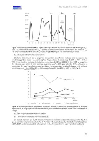 Ndour et al., (2013) J. Sci. Halieut. Aquat., 6:194-206
200
Figure 2. Fréquences de taille de Mugil cephalus débarqué de 2004 à 2009 sur la Grande côte du Sénégal. L50 =
taille à la première maturité sexuelle ; Lopt = gamme de taille où le rendement maximal peut être obtenu et Lmax
= la taille maximale atteinte durant cette période ; n : effectif extrapolé à la capture totale ; n=58359.
3.2.2. Évolution interannuelle des indicateurs
L’évolution interannuelle de la proportion des poissons sexuellement matures dans les captures est
caractérisée par deux phases : une première phase d’augmentation du pourcentage de 12 % en 2004 à 32 % en
2006 et une deuxième phase de diminution du pourcentage, de 32 % en 2006 à 13 % en 2009. La proportion
des individus ayant atteint la taille optimale, augmente jusqu’en 2008 pour atteindre 29 %. A l’inverse, le
pourcentage des super-reproducteurs subit une baisse ; les pourcentages les plus élevés pour cette catégorie
ont été observés à 3 % en 2004 et 2 % en 2007, les plus faibles 0,3 % en 2008 et 0,5 % en 2009 (Fig. 3).
Figure 3. Pourcentages annuels de juvéniles, d’individus matures, d’individus à la taille optimale et de super-
reproducteurs de Mugil cephalus dans les captures de pêche commerciale de 2004 à 2009 sur la Grande côte du
Sénégal.
3.3. État d’exploitation de Pomatomus saltatrix
3.3.1. Fréquences de taille des individus débarqués
Les résultats montrent que 60,4 % des captures totales de P. saltatrix sont constituées de juvéniles (Fig. 4) et
que les individus matures représentent 39,6 %. Parmi ces individus matures, 36,2 % ont atteint la taille optimale
± 10 %, 25,3 % sont en dessous de la taille optimale et 38,6 % représentent les super-reproducteurs (Fig. 4).
 