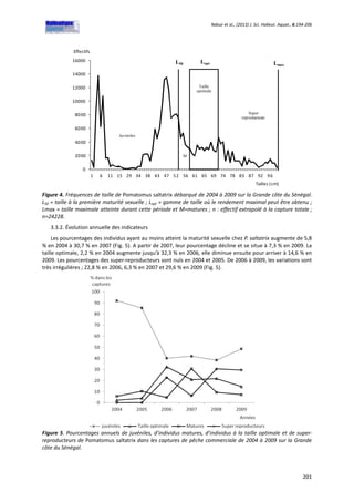 Ndour et al., (2013) J. Sci. Halieut. Aquat., 6:194-206
201
0
2000
4000
6000
8000
10000
12000
14000
16000
1 6 11 15 29 34 38 43 47 52 56 61 65 69 74 78 83 87 92 96
Effectifs
Tailles (cm)
L50 Lopt Lmax
Taille
optimale
Super
reproducteurs
Juvéniles
M
Figure 4. Fréquences de taille de Pomatomus saltatrix débarqué de 2004 à 2009 sur la Grande côte du Sénégal.
L50 = taille à la première maturité sexuelle ; Lopt = gamme de taille où le rendement maximal peut être obtenu ;
Lmax = taille maximale atteinte durant cette période et M=matures ; n : effectif extrapolé à la capture totale ;
n=24228.
3.3.2. Évolution annuelle des indicateurs
Les pourcentages des individus ayant au moins atteint la maturité sexuelle chez P. saltatrix augmente de 5,8
% en 2004 à 30,7 % en 2007 (Fig. 5). A partir de 2007, leur pourcentage décline et se situe à 7,3 % en 2009. La
taille optimale, 2,2 % en 2004 augmente jusqu’à 32,3 % en 2006, elle diminue ensuite pour arriver à 14,6 % en
2009. Les pourcentages des super-reproducteurs sont nuls en 2004 et 2005. De 2006 à 2009, les variations sont
très irrégulières ; 22,8 % en 2006, 6,3 % en 2007 et 29,6 % en 2009 (Fig. 5).
Figure 5. Pourcentages annuels de juvéniles, d’individus matures, d’individus à la taille optimale et de super-
reproducteurs de Pomatomus saltatrix dans les captures de pêche commerciale de 2004 à 2009 sur la Grande
côte du Sénégal.
 