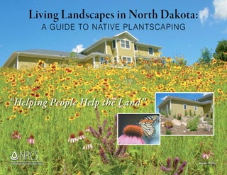 Living Landscapes in North Dakota:
                                    A GUIDE TO NATIVE PL ANTSCAPING




“Helping People Help the Land”




Natural Resources Conservation Service
United States Department of Agriculture                               August 2006
                                                                      August 2006
 