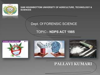 SAM HIGGINBOTTOM UNIVERSITY OF AGRICULTURE, TECHNOLOGY &
SCIENCES
Dept. Of FORENSIC SCIENCE
TOPIC:- NDPS ACT 1985
PALLAVI KUMARI
 